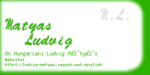 matyas ludvig business card